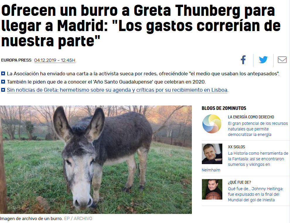 Donkey Offer