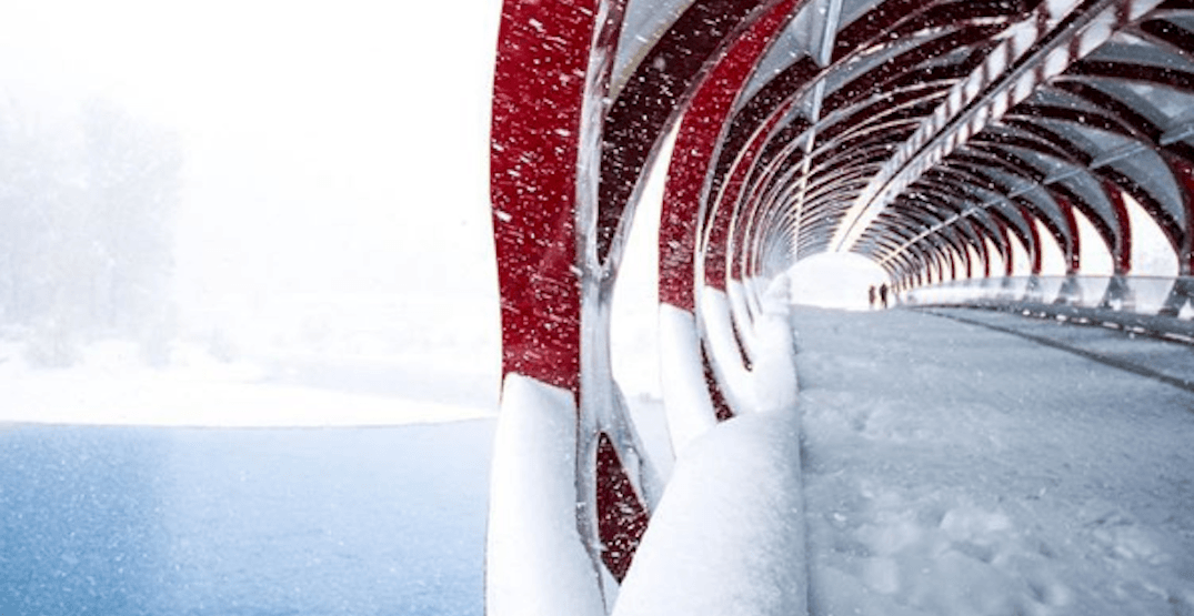 Snowy Calgary