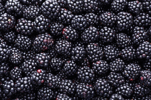 blackberries