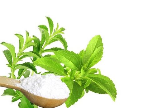 Click to enlarge stevia