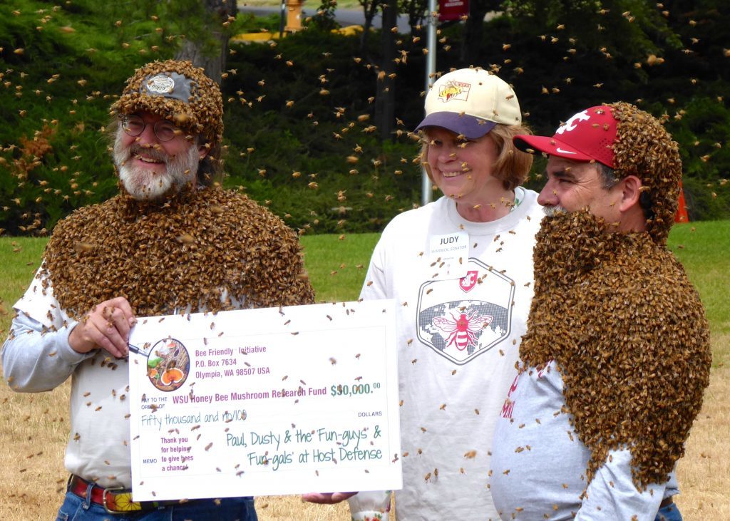 Click to enlarge bees