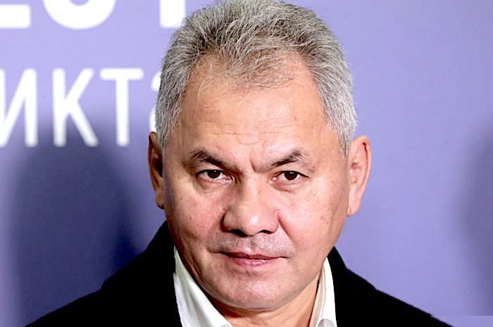 Click to enlarge Shoigu