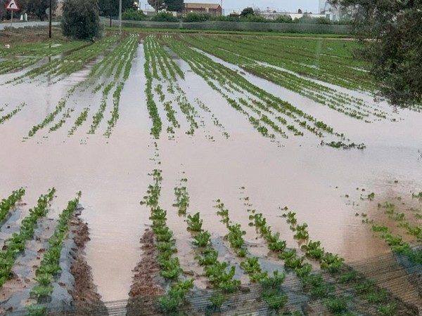 floods