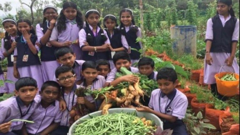 Click to enlarge India schools kitchen gardens