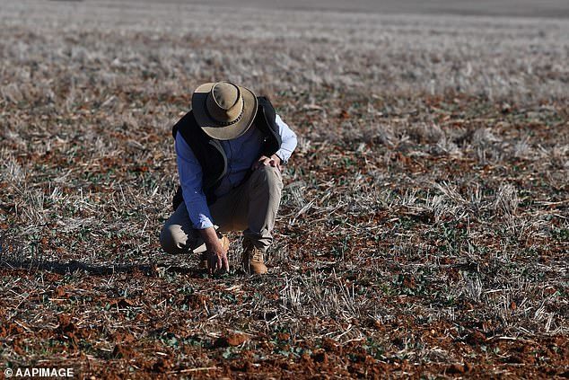 Click to enlarge NSW farmer