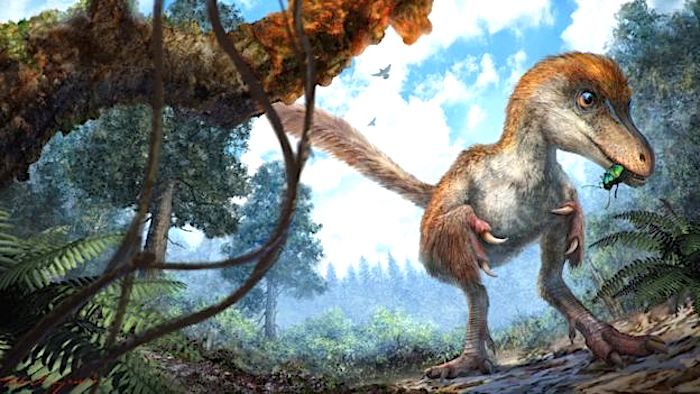 Click to enlarge bird dino