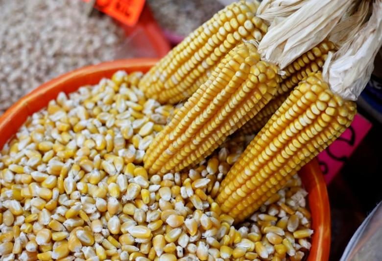 corn