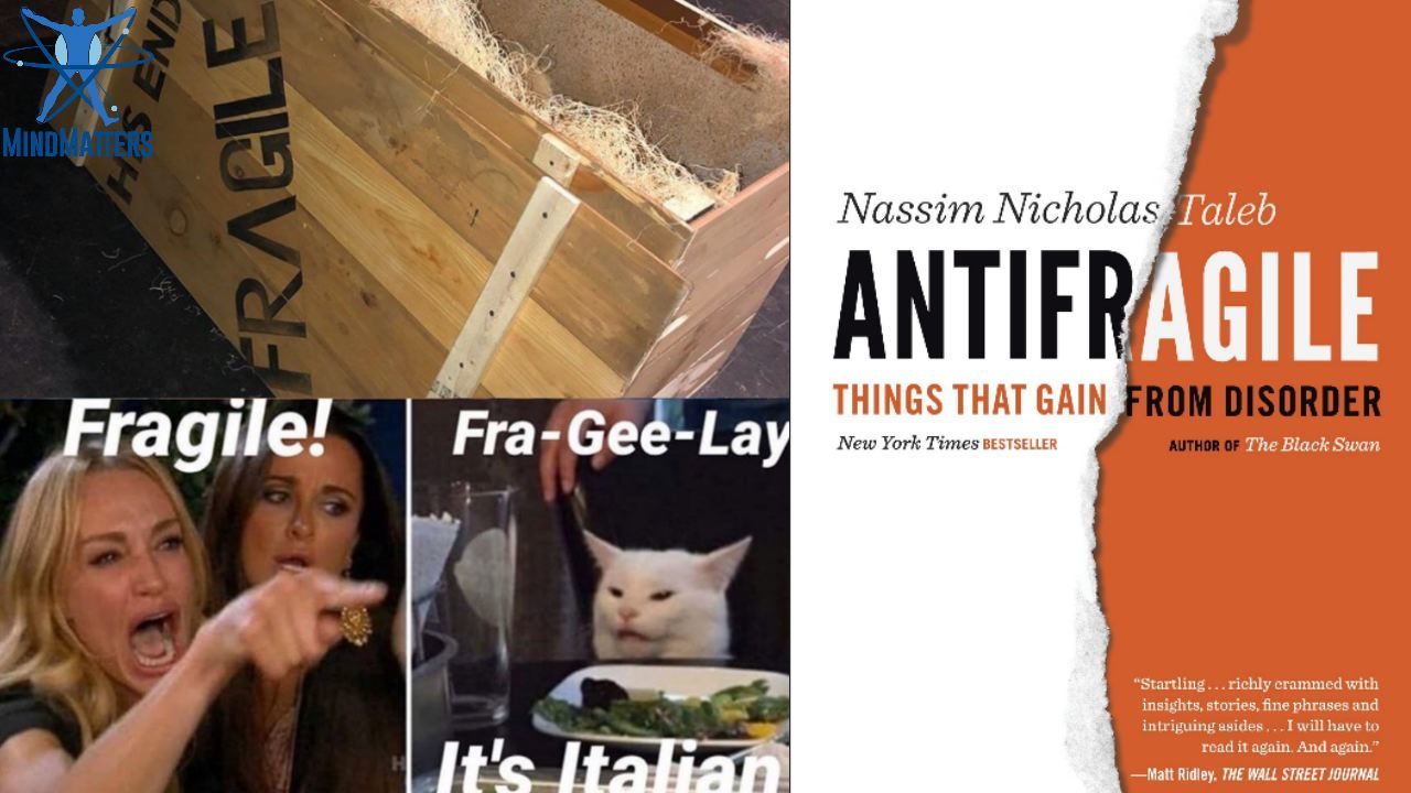 antifragile