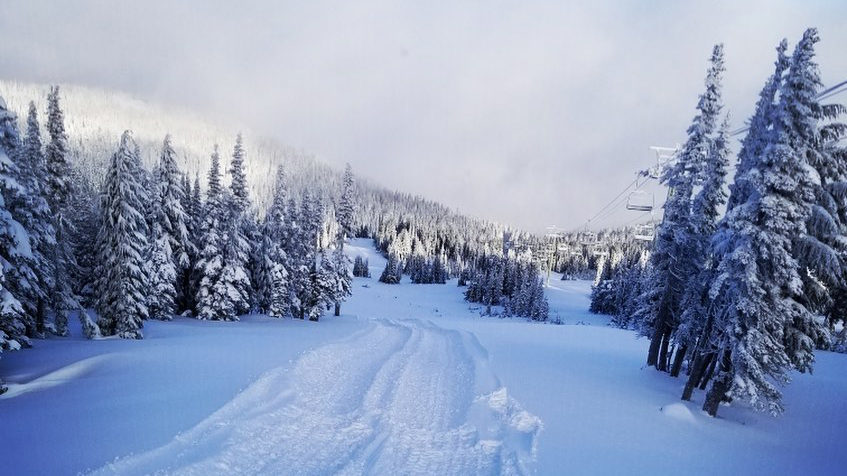 White pass