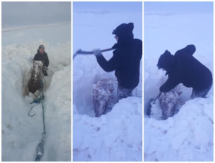 Click to enlarge dig out