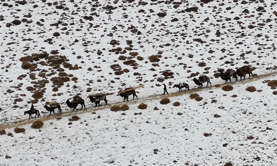 Click to enlarge Camel caravan afghanistan