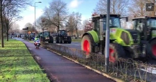 dutch farmer protest