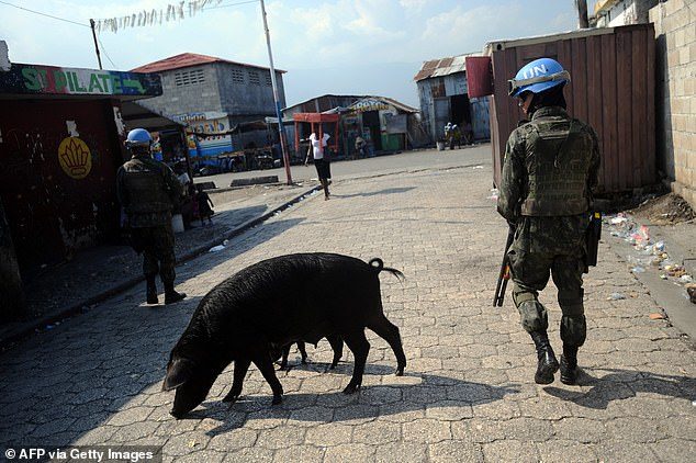 Click to enlarge un_haiti