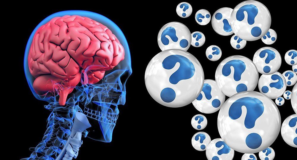brain