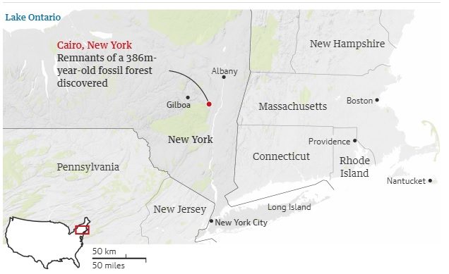 Click to enlarge new york oldest forest