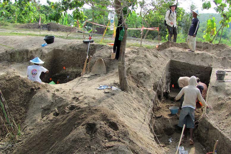 Click to enlarge Excavations of Homo Erectus remains Ngandong Java
