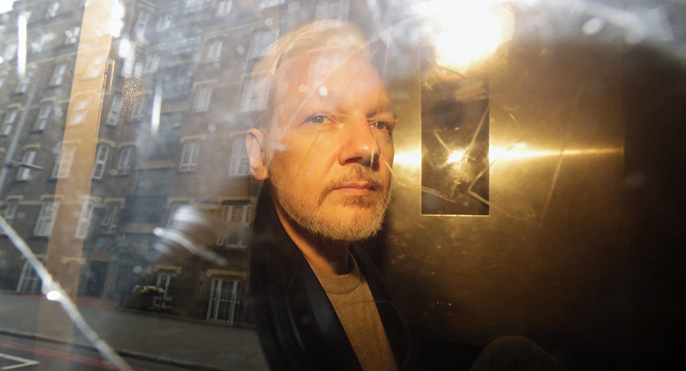 Click to enlarge Julian Assange