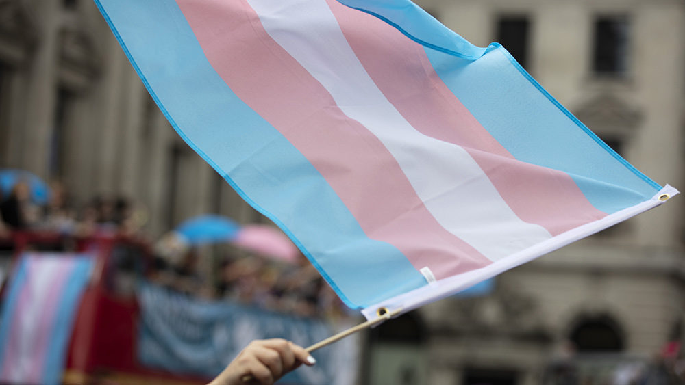 Click to enlarge transgender flag