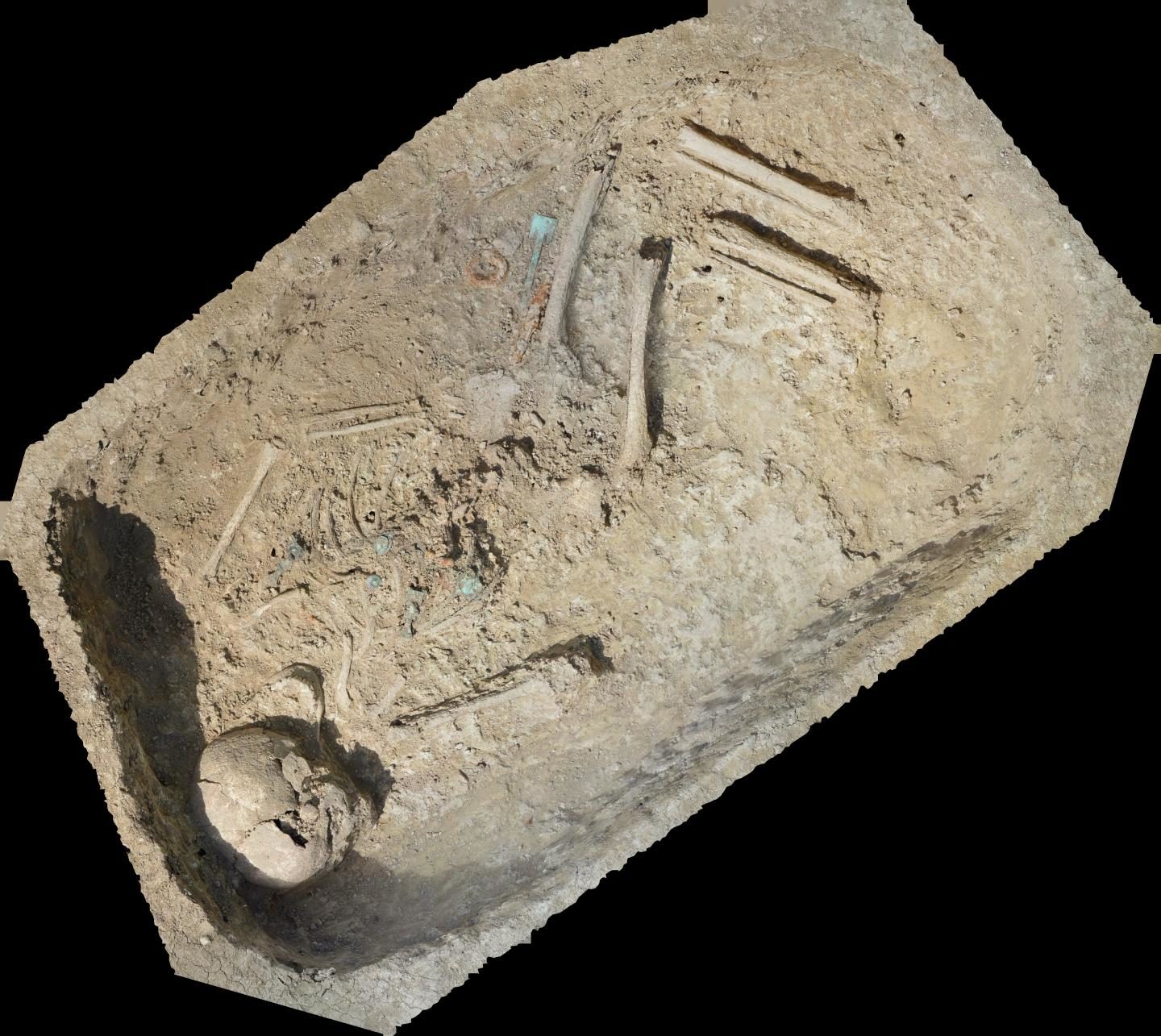 Skeleton