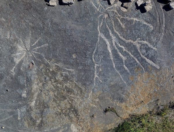 Click to enlarge River bed fossils
