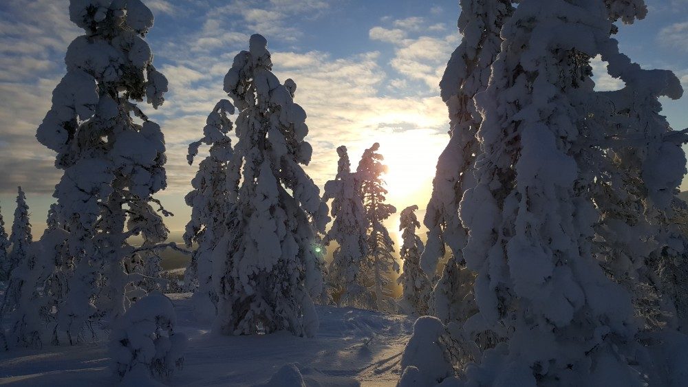 Click to enlarge Snow covered Lapland.