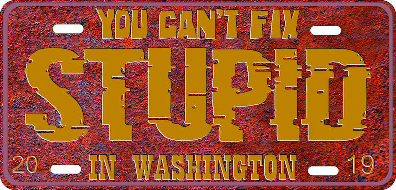 stupid washington