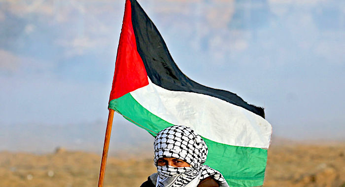 Palestinian w flag