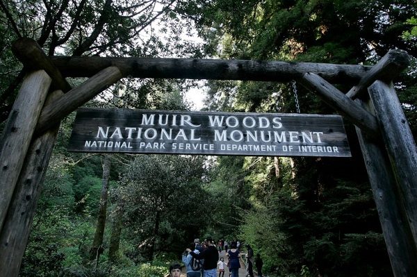 Muir Woods National Park
