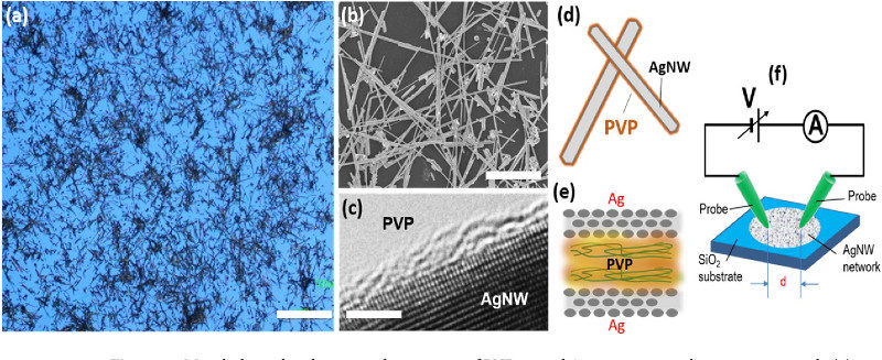 Nanowire Network