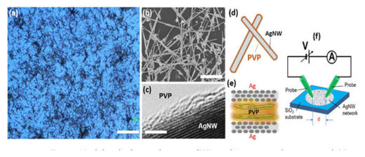 Click to enlarge Nanowire Network