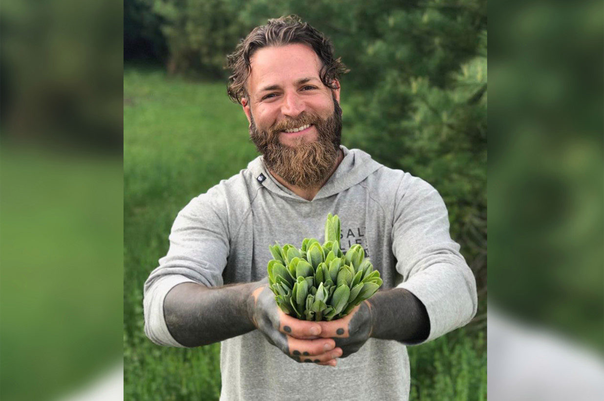 Daniel Vitalis vegan carnivore
