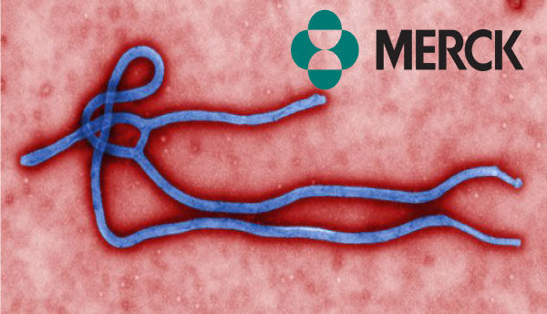 Click to enlarge merck ebola