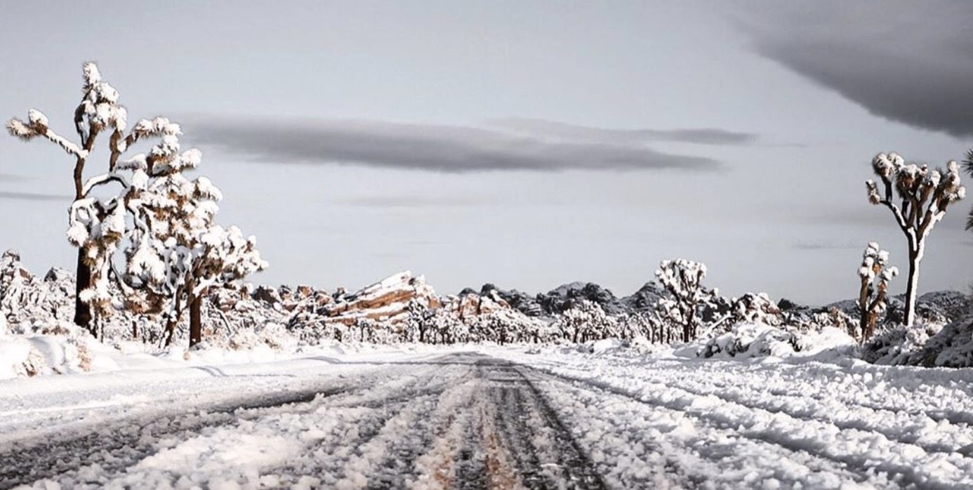 Joshua Tree and Pioneertown become a Winter Wonderland