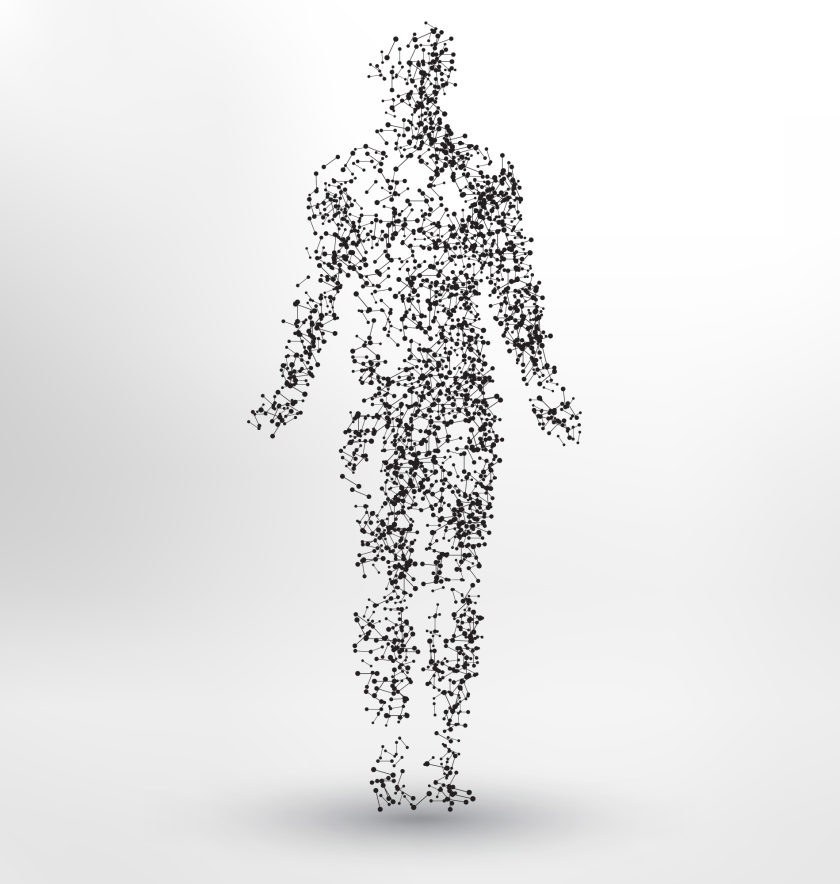 human