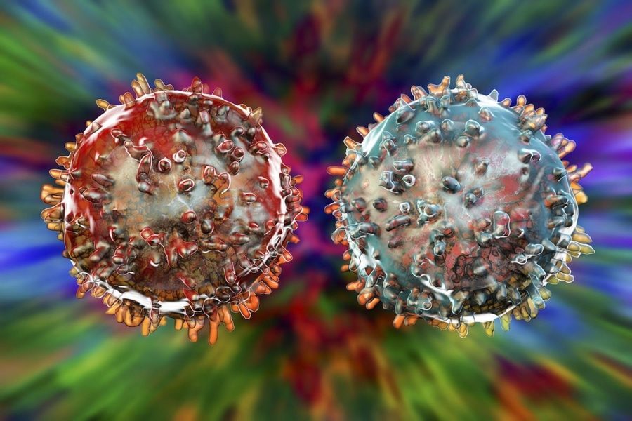 Immune cell X