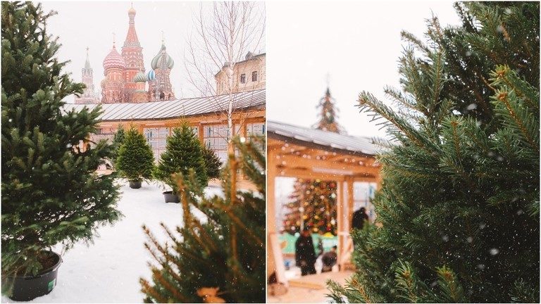 russia warm
