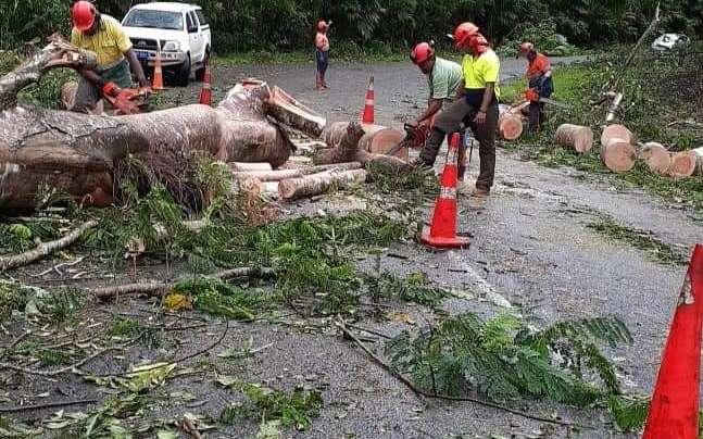 A Ministry of Forestry team helps clear debris in the wake of the cyclone.