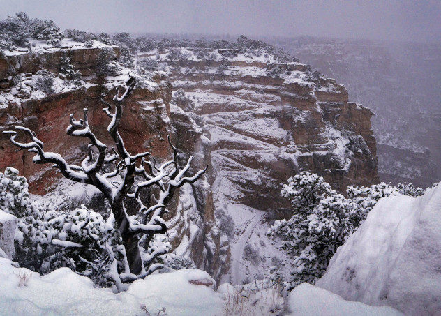 snow grand