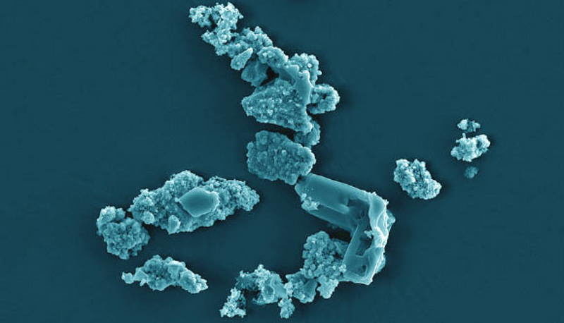 Metallosphaera sedula meteors microbes