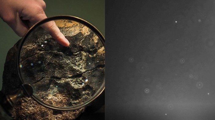 Click to enlarge microbes meteors Metallosphaera sedula