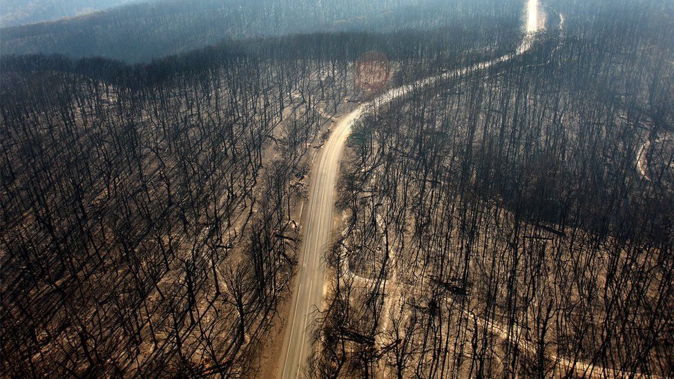 bushfire australia 2009