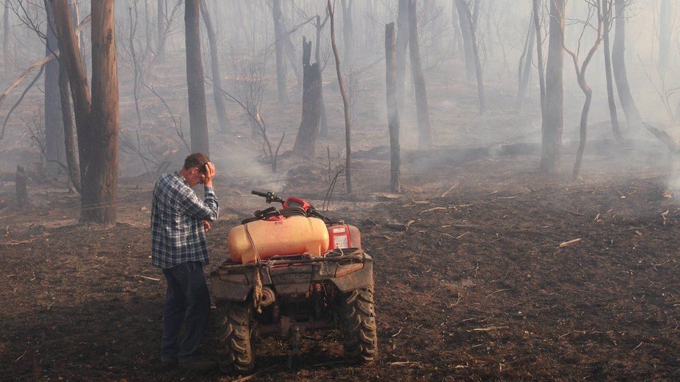 Click to enlarge black saturday bushfires australia