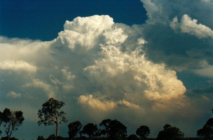 pyrocumulonibus cloud wildfire australia