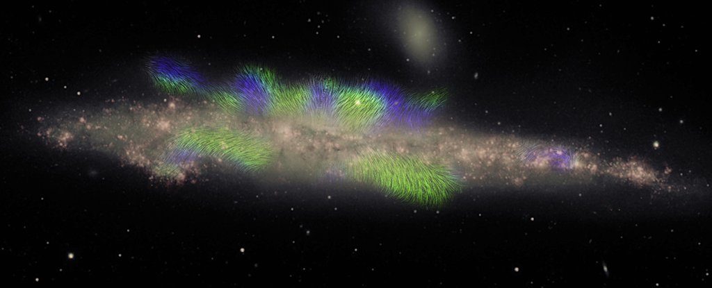 Whale Galaxy