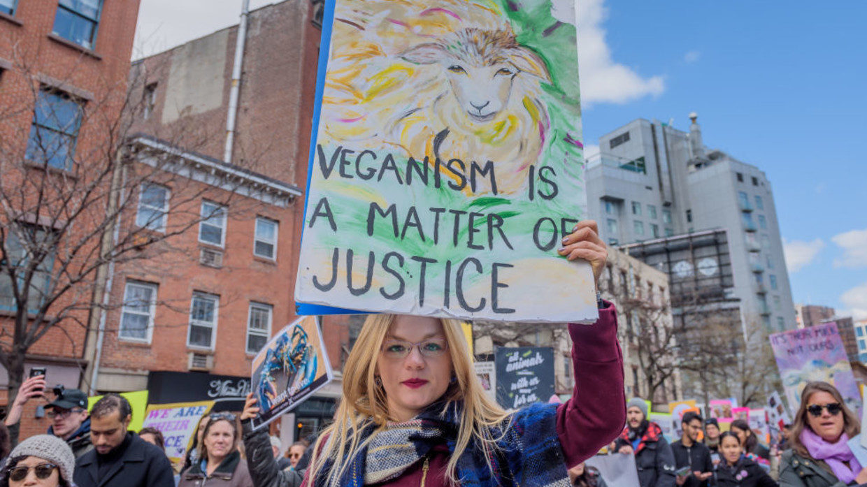 Click to enlarge vegetarian vegan