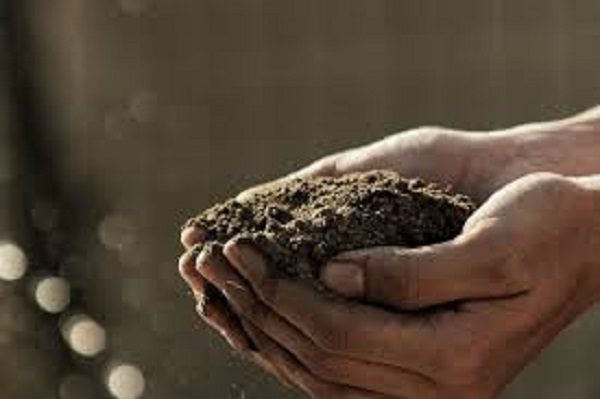 Healthy soil