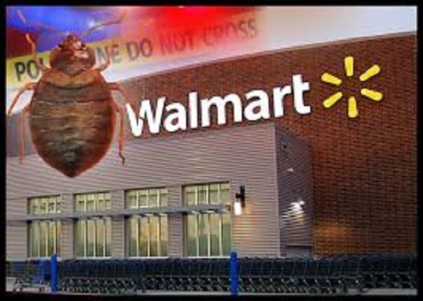 Bed bugs at Walmart