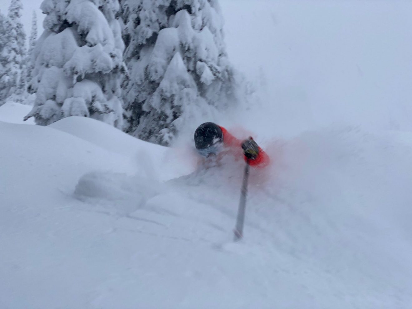 skier