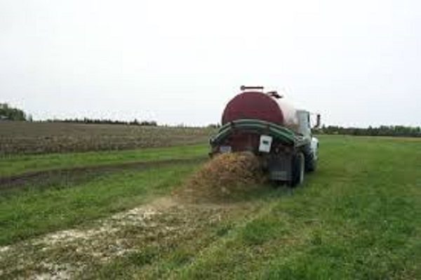 Click to enlarge Food is grown in sewage waste