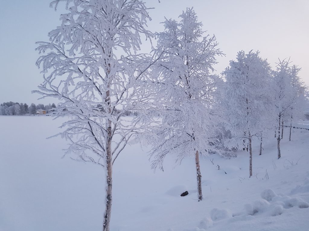 Extreme cold winter weather in Lapland